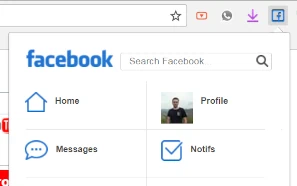 Quick Access Facebook Extension for Chedot Browser